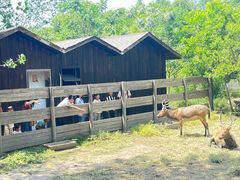 -溱湖国家湿地公园