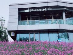 -猫的天空之城概念书店(北戴河蔚蓝海岸店)
