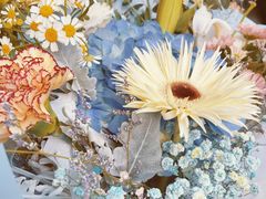 -上海星瀚奔驰4S店(红柳路店)