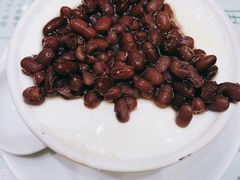 -义顺牛奶公司(新马路老店)