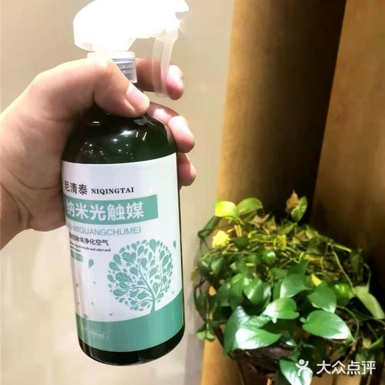 自己在家也可治理甲醛