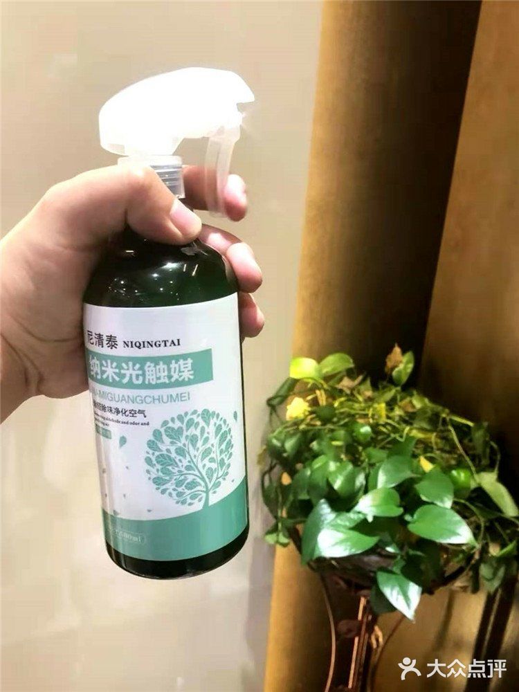 自己在家也可治理甲醛