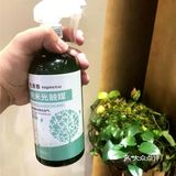 自己在家也可治理甲醛