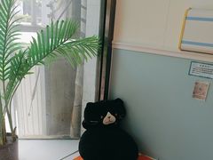 -纳吉亚猫专科动物医院·北北分院