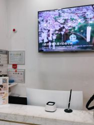 -YESIDO椰岛造型