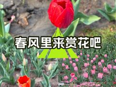 -朝阳区图书馆(小庄店)