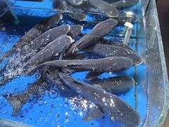 -炊江南·上海菜(国展华漕店)