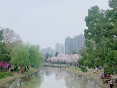 -堤角公园