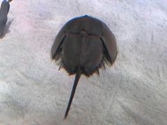 -沈阳海洋探索中心