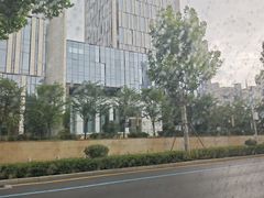 -野妹经典火锅(江夏中百店)