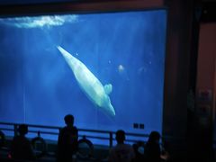 -沈阳海洋探索中心