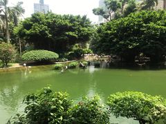 -九龙公园