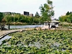 -前关湿地公园