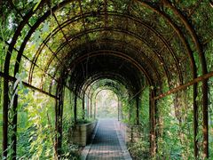 -国家植物园南园