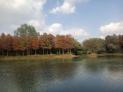 -西溪国家湿地公园