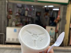 -洪馨椰子
