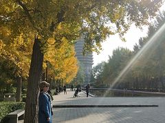 -玲珑塔公园