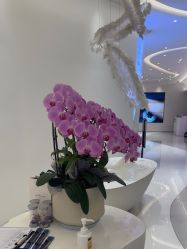 -杭州米兰柏羽医疗美容医院