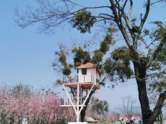 -福建鲤鱼洲酒店