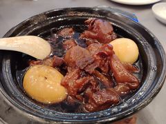 -东方御宴海鲜酒楼(棕泉酒店)