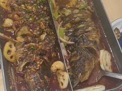 -鱼酷活鱼烤鱼(沈阳大悦城店)