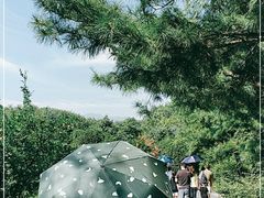 -秦始皇兵马俑博物馆-停车场