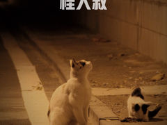 -桂大叔·砂锅粥·家传闽粤菜(县西巷店)