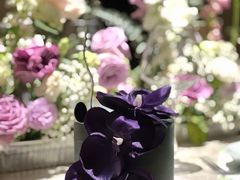 -villaa·别墅·融合菜西餐厅