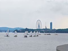-高子水居
