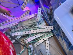 -环游嘉年华(广州-天河城店)
