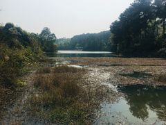 -南山植物园