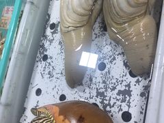 -濠江渔港酒楼(湾仔海鲜街，会展中心店)
