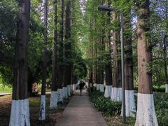 -花溪公园