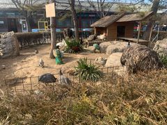 -有喜胶东小馆(太申祥和店)