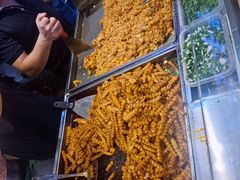 -周小亮丁家坡洋芋(全国总店)