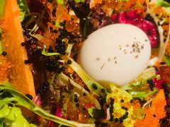 -Hatsune隐泉日式料理(三里屯太古里店)