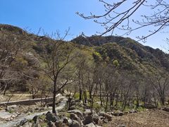 -大岭沟猕猴桃谷风景区
