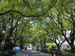 -上海交通大学医学院附属瑞金医院(总院)