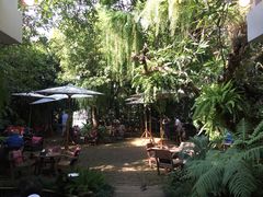 -Fern Forest Cafe