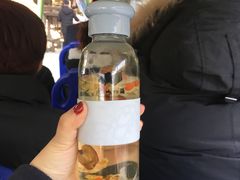 VIP茶水-天目湖南山竹海