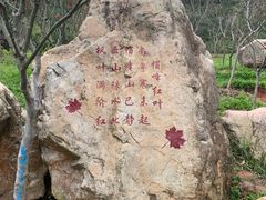 -广州市帽峰山景区