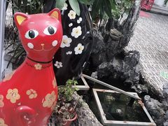 -猫咪博物馆(顶澳仔猫街店)