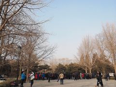 -玲珑塔公园