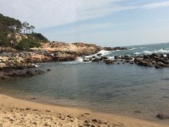 -广东惠东海龟国家级自然保护区