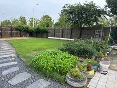 -南汇新场正宗水蜜桃采摘