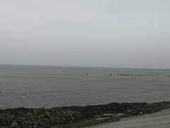 -湖南东洞庭湖国家级自然保护区