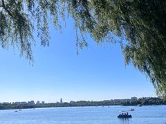 -长春市南湖公园