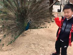 -武汉紫薇都市田园