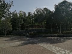 -东郊湿地公园