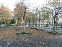 -武昌首义学院南区食堂